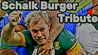 Schalk Burger Tribute  Hardest Springboks amp RWC 2007 Rugby Player  Fights amp Tries rugby sports [upl. by Annaik]