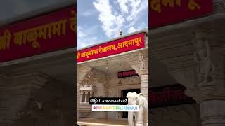 श्री सद्गुरू संत बाळूमामा मंदिर आदमापूर balumamachyanavanchanbhal [upl. by Ashely947]