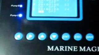 Marine magic dosing pump  How to use manual mode 2 [upl. by Dallman]