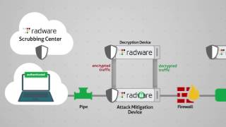 SSL Attacks amp TLS Attacks DDoS Mitigation Solutions  Radware [upl. by Ttoile]