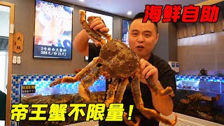 2000一位海鲜自助，活体帝王蟹不限量！超大个红魔虾你绝对没见过 [upl. by Nomolas370]