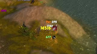 Warmane WoW  MM Hunter PvP 335 WoTLK 5 [upl. by Nilkcaj]