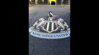 Teddy visits Newcastle United Football Club [upl. by Erdried447]