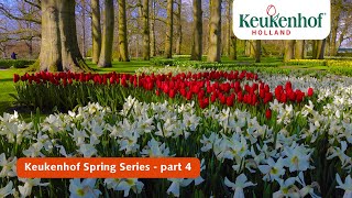 Keukenhof Spring Series part 4  Keukenhof 2021🌷 [upl. by Rafa]