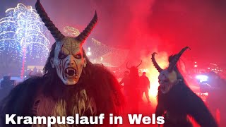 Krampuslauf in Wels 2023 🇦🇹 Wels Austria [upl. by Eriuqs]