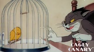 The Cagey Canary 1941 Warner Bros Merrie Melodies Cartoon Short Film  Review [upl. by Annodahs]