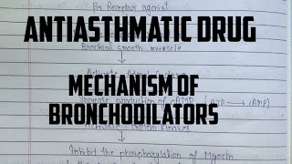 Mechanism of action for Bronchodilator  Beta 2 Agonist Anticholinergic agents  Methylxanthine [upl. by Airdnax254]