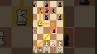 Shatranj ke Khiladicheck matechess [upl. by Sherj]