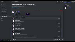 Introducing Wize Slot Bot for Discord [upl. by Reh]