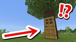 SECRET TREE HOUSE You will Never Find [upl. by Stig]