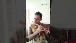 Vana Vana Velluvaye song on Flute by Chandrashekhar [upl. by Bettencourt]