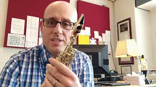 Dont Buy a Sopranino Sax Before You Watch This [upl. by Grenier]