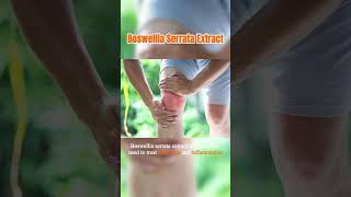 What is Boswellia Serrata Extract Boswellic acid Benefits [upl. by Engamrahc]