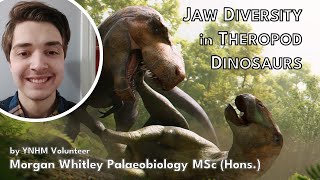 Jaw Diversity in Theropod Dinosaurs  Morgan Whitley Anning Lectures [upl. by Linker]