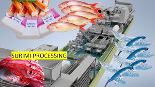 Surimi Production Line Comprehensive Supply Consultation and Operation Guide [upl. by Magnus]