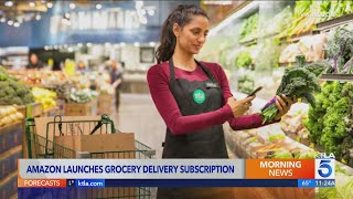 Amazon debuts grocery delivery program for Prime members SNAP recipients [upl. by Jeddy]