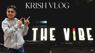 Hotel The Vibe  Krish Vlog  Amazing Dishes [upl. by Eitsyrhc538]