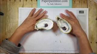 Oyster Shell Dish DIY [upl. by Ahsym]