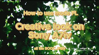 How to use mode FL Creative look on Sony A7iv viltrox85mm portrait sonyalpha creativelook [upl. by Ynahteb244]