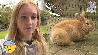 Het gaat niet zo goed met Snuf  Vlog 30  Daphneee [upl. by Ylnevaeh981]