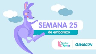 Semana 25 de embarazo [upl. by Ahsya]