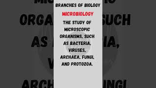 Branches of Biology  Microbiology biology microbiology definition shorts [upl. by Emawk]