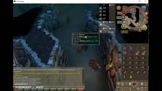 HOW TO GET TO HELLHOUNDS IN TAVERLY DUNGEON  RUNESCAPE [upl. by Fisher23]