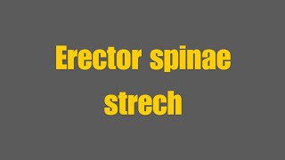 Erector Spinae Stretch [upl. by Dustan]