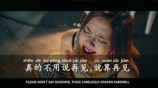 Learn Chinese Through Songs【GEM  再见 Zài Jiàn  Goodbye with English  Pinyin】 [upl. by Rinee358]