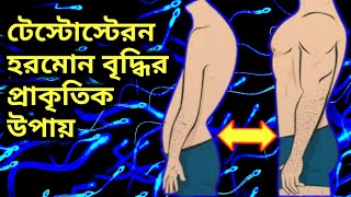 How To Increase Testosterone Naturally। টেস্টোস্টেরন হরমন কি কিভাবে এটি বাড়ানো যায় [upl. by Llewellyn]