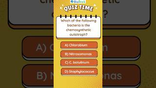 Kingdom Monera  Chemosynthetic Autotrophic Bacteria  Biological Classification  Class 11 Biology [upl. by Ahsets]