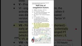 Half lives of coagulation factors [upl. by Odell]