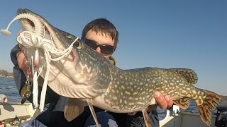 Early Spring Bass Fishing Budd Lake NJ Pike Bass Pickerel Perch [upl. by Yllime]