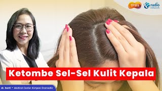 Penyebab dan JenisJenis Ketombe Rambut  Health Corner [upl. by Church]