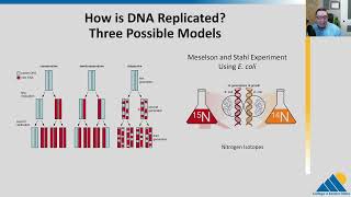 BIO201 Ch143  Basics of DNA Replication [upl. by Ansel]