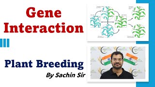 Gene Interaction  Important Concepts of Plant Breeding  By Sachin Sir [upl. by Javed]