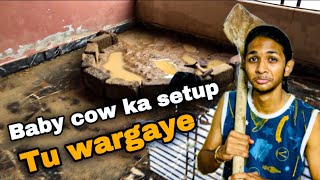 Baby Cow ka Setup Kharab Ho Gaya Pura🥹😭 [upl. by Siul]