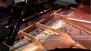 John Cage  Sonata V from Sonatas and Interludes  Inara Ferreira prepared piano [upl. by Alyam844]