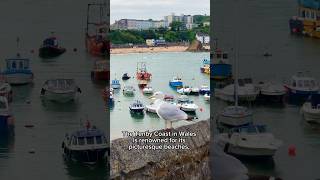 The Charm of Tenby Harbour tenby short [upl. by O'Shee299]