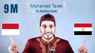 Mohamed Tarek  Ya Habibal Qolbi  محمد طارق  يا حبيب القلب [upl. by Ahsienad500]