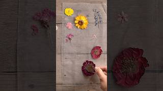 Try THIS with Pressed Flowers 🌺 pressedflowers journaling pressedflower [upl. by Trow]