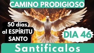 día 46 🔥🙏 CAMINO PRODIGIOSO 50 DÍAS AL ESPÍRITU Santifícalos en la verdad 🙏🔥 [upl. by Matthaus]