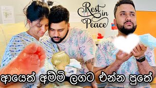 සති 21න් ඉපදුනු මගේ පුතාලා👼ආයෙත් අම්මි ලගට එන්න පුතේ🫀 Birth story🥹 anneyelina birth missyou [upl. by Notgnillew]