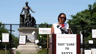 Star Parker Holds DC Rally to Support Lincoln Emancipation Statue [upl. by Hutchison]