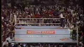 Hagler vs Hearns Round 3mp4 [upl. by Gabriele]