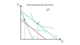 A10 Demandas Marshalliana y Hicksiana  Consumo  Microeconomía [upl. by Dalia58]