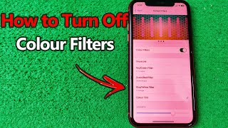 How to Turn Off Color Filters on iPhone  Full Guide [upl. by Artimid]