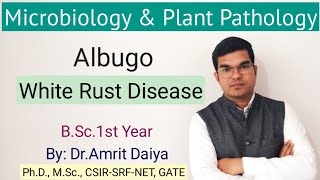 Albugo amp White Rust Disease in Crucifer BSc1st Year Hindi amp English Dr Amrit Daiya [upl. by Burnley447]