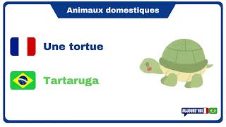 Francês lição 14  Os animais domésticos em francês  les animaux domestiques en français [upl. by Maxim966]