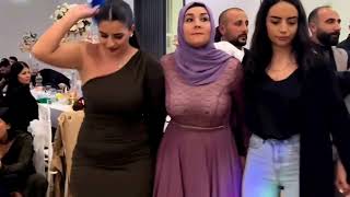 Kurd Wedding Dance  Traditional Kurdish Dance [upl. by Vanda873]